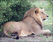 Africa 2007